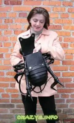 >>Click to zoom image<<