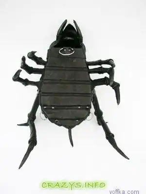 >>Click to zoom image<<